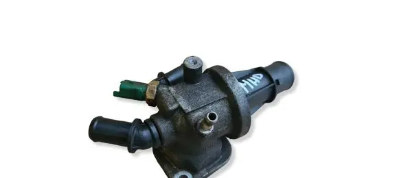 Suzuki Ignis Thermostat 55182499