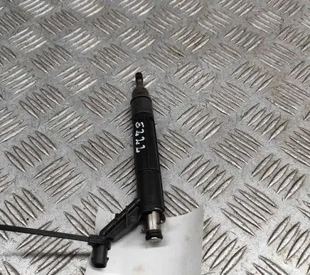 Porsche Cayenne (9Y0 9Y3) Fuel injector 06M906036AE 06M906A02
