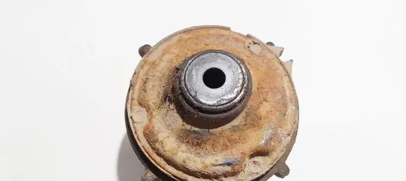 Coil spring mount