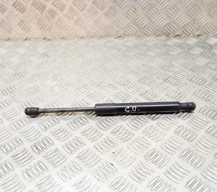 Tesla Model 3 Tailgate/trunk strut/damper 109156000B
