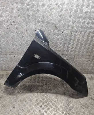 Fender
