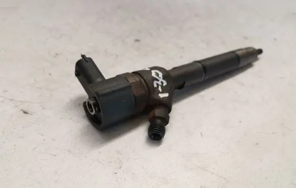 Hyundai i30 Fuel injector 0445110256 338002A400