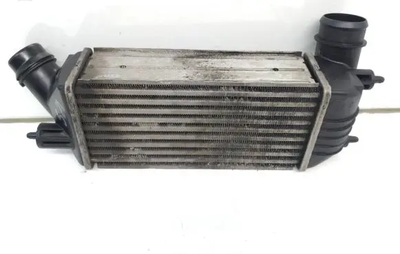 Peugeot Expert Intercooler radiator 1440010980 899950000