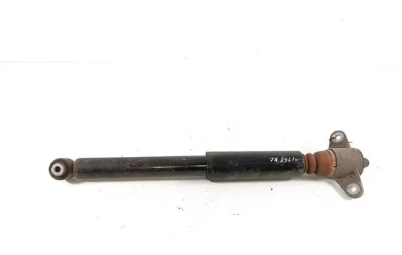 Hyundai Ioniq Rear shock absorber/damper 55300G7000