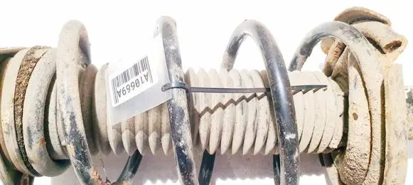Ford Focus Front coil spring