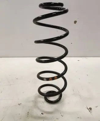Rear coil spring
