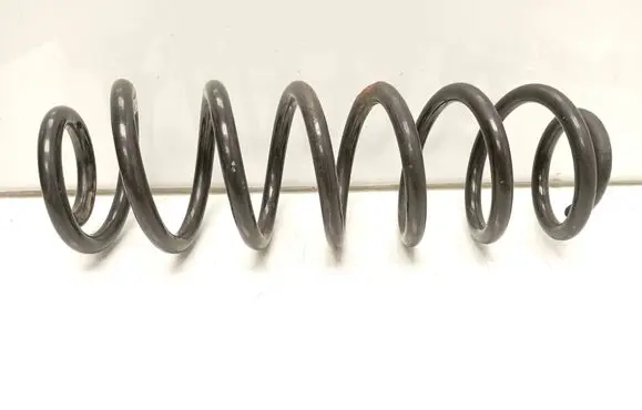 Rear coil spring