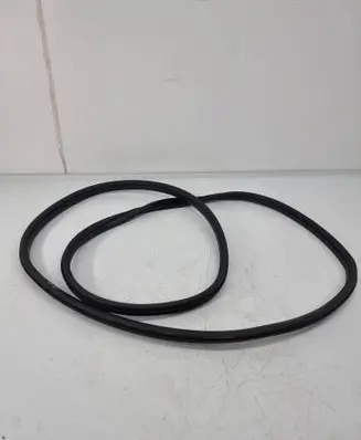 Nissan Ariya Rear door rubber seal (on body) 
