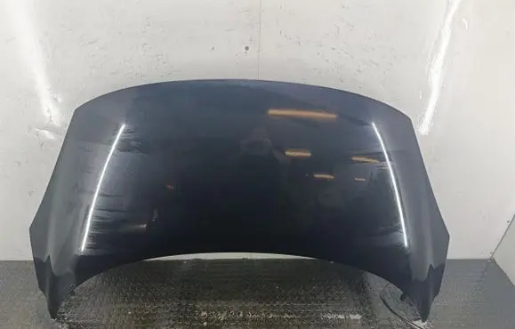 Renault Scenic III - Grand scenic III Engine bonnet/hood 