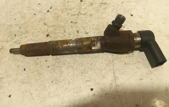Renault Laguna III Fuel injector 166008052r