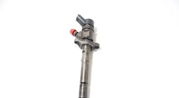 Peugeot Partner Fuel injector 0445110239