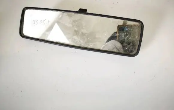 Fiat Ducato Rear view mirror (interior) e3011027