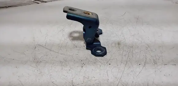 Renault Megane III Front door upper hinge