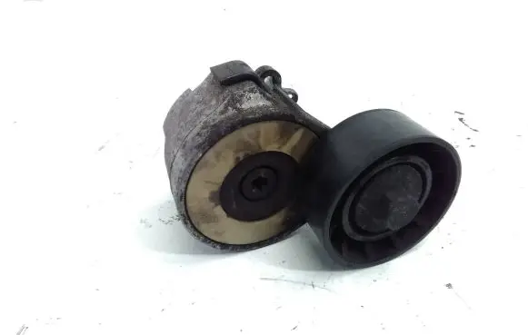 Fiat 500L Generator/alternator belt tensioner 46819146