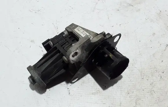 EGR valve