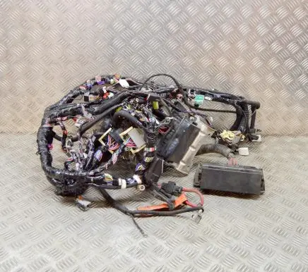 Tesla Model S Other wiring loom 100676300D 100442303H