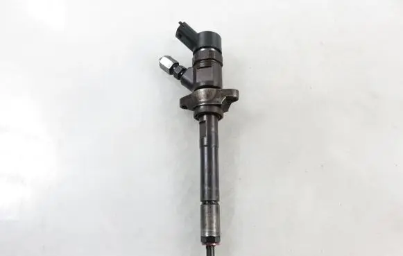 Peugeot Partner Fuel injector 0445110239
