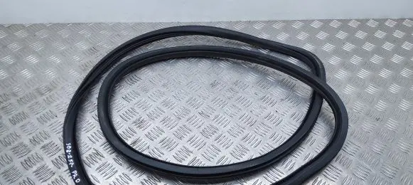 Peugeot 308 Rubber seal front door (on door) 9677519680
