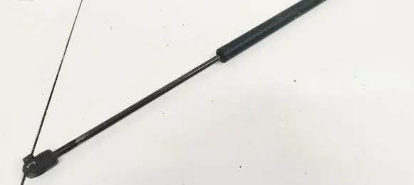 Tailgate/trunk strut/damper