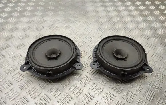Renault Kadjar Rear door speaker