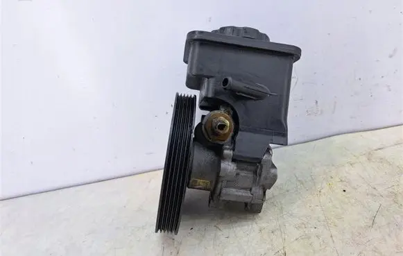 BMW 3 E46 Power steering pump 1095155