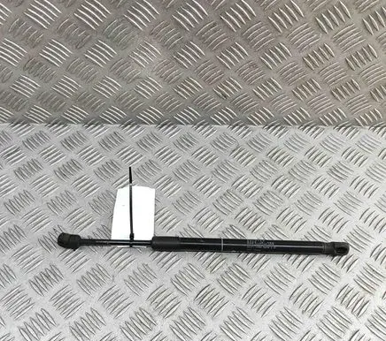BMW X5 F15 Front bonnet/hood damper/strut 7308065