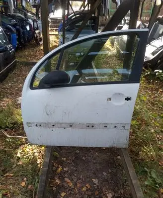 Citroen C3 Front door