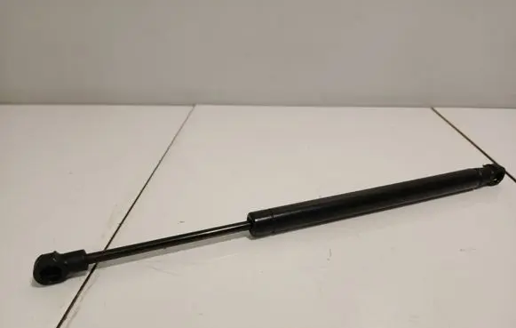 Tailgate/trunk strut/damper