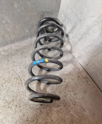 Rear coil spring