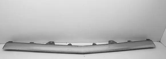 Front bumper lip