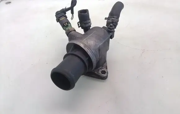 Thermostat/thermostat housing