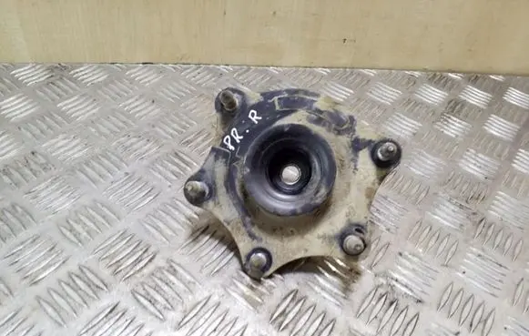 Coil spring mount