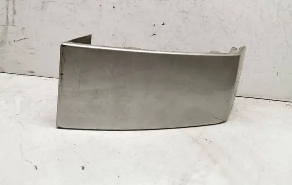 Rear/tail light trim molding