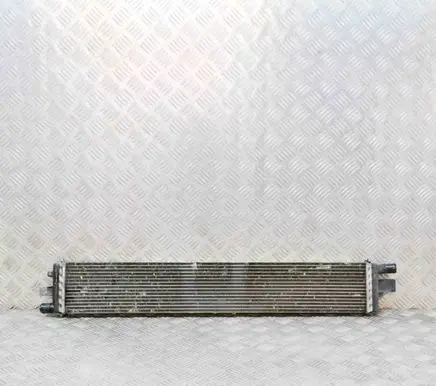 Renault Master III Coolant radiator T1077004 214C10001R