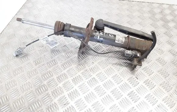 Opel Zafira B Front shock absorber/damper 22214600 24466541