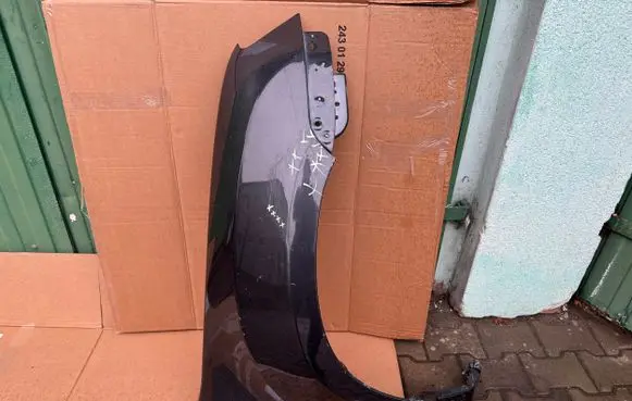 Dacia Duster Fender 631007297R