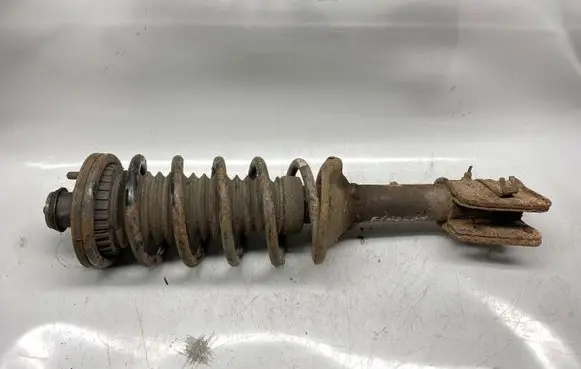 Land Rover Freelander Rear shock absorber with coil spring 