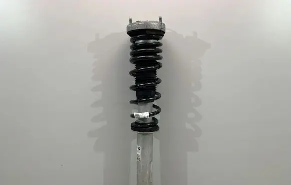 BMW M5 F90 Rear shock absorber with coil spring 4802850