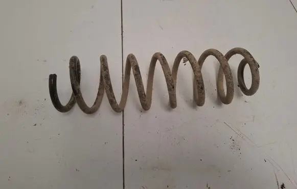 Rear coil spring