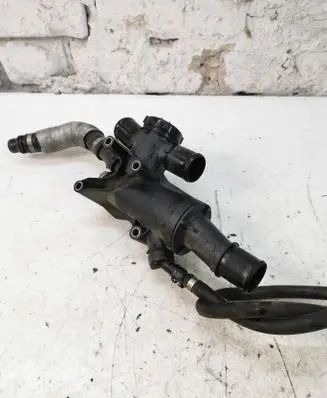 Thermostat/thermostat housing