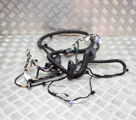 Tesla Model Y Front door wiring loom 148905200C