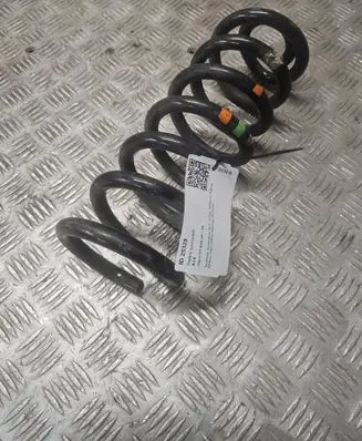 Rear coil spring
