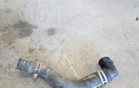 Ford Fiesta Engine coolant pipe/hose