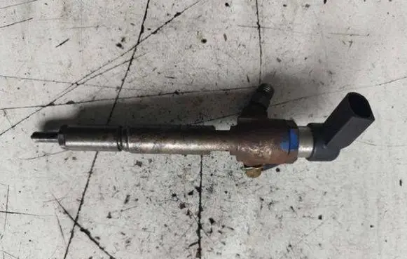 Nissan Qashqai Fuel injector H8200294788