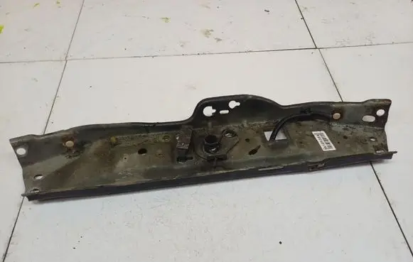 Engine bonnet/hood lock trim molding