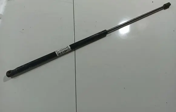 Tailgate/trunk strut/damper
