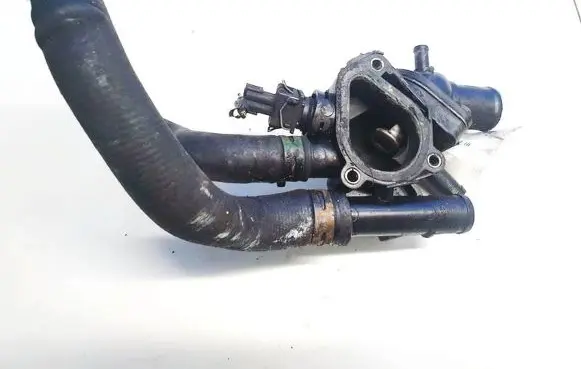 Renault Laguna II Engine coolant pipe/hose