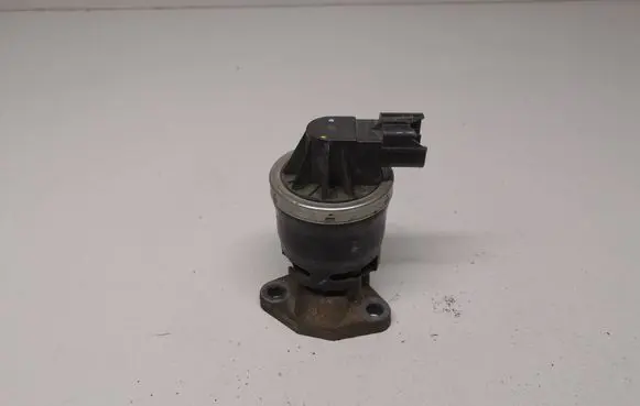 EGR valve