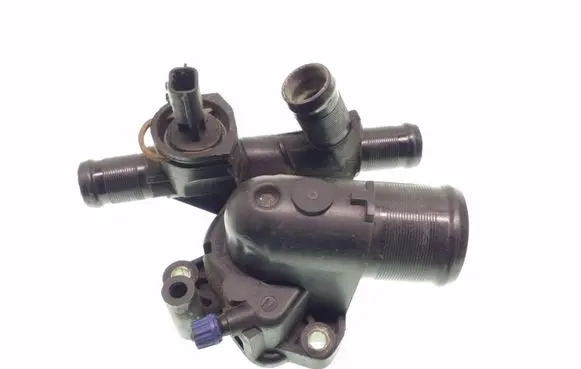 Thermostat/thermostat housing