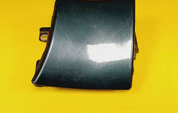 Rear/tail light trim molding